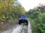 Land Rover Defender 110 by Osprey Custom Cars 1993 года